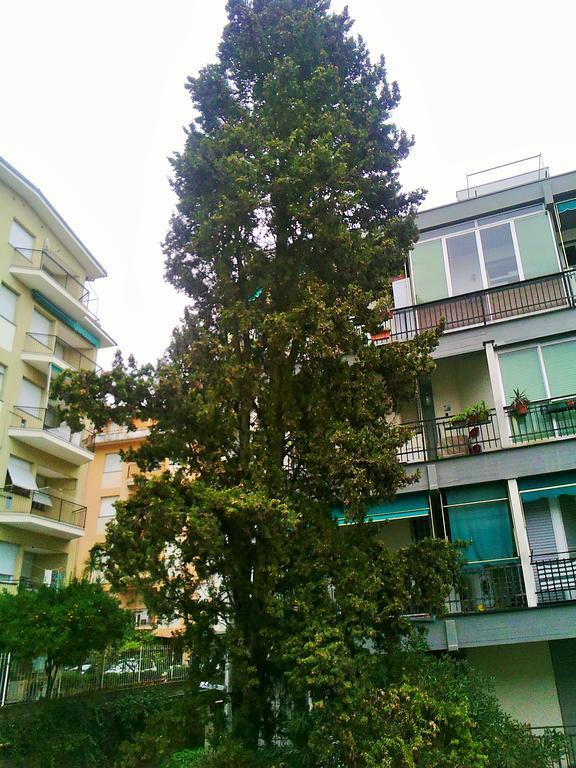 Il Centrale Rapallo Eksteriør bilde